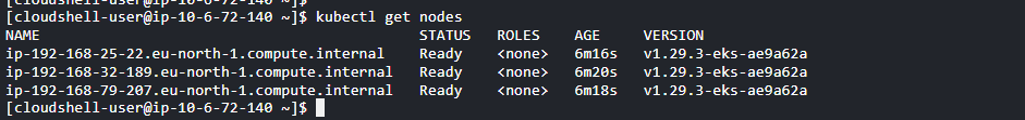 Kubectl get nodes command